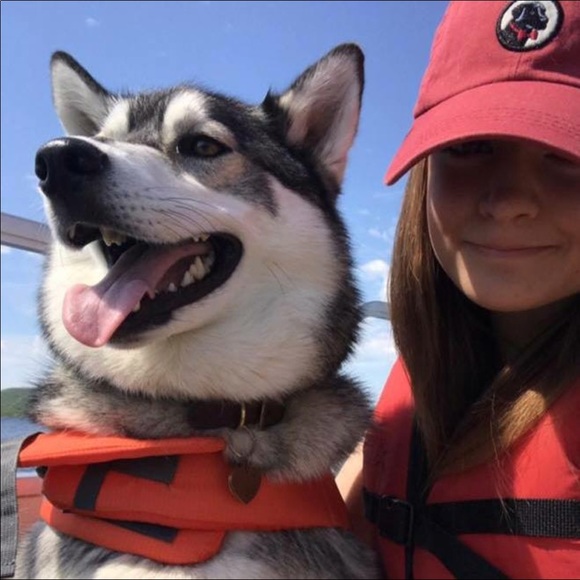 Meet the Posher - Picture 2 of 2